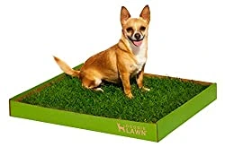 Doggie Lawn Disposable Dog Potty