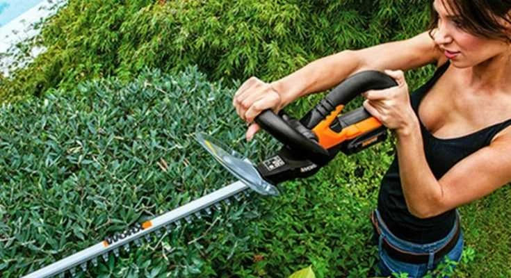 Best Hedge Trimmer Reviews - Featured