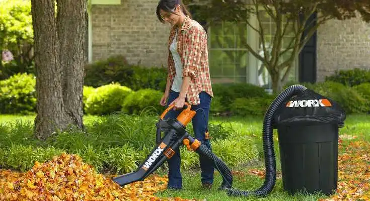 Best Leaf Blower Vacuum Reviews - GardenlifePRO