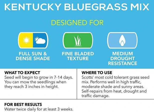 Kentucky Bluegrass for dogs
