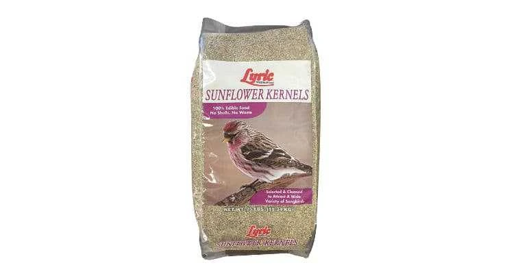 Bird Seeds to save lawn