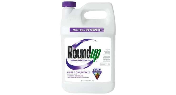 Roundup Weed and Grass Killer Super Concentrate