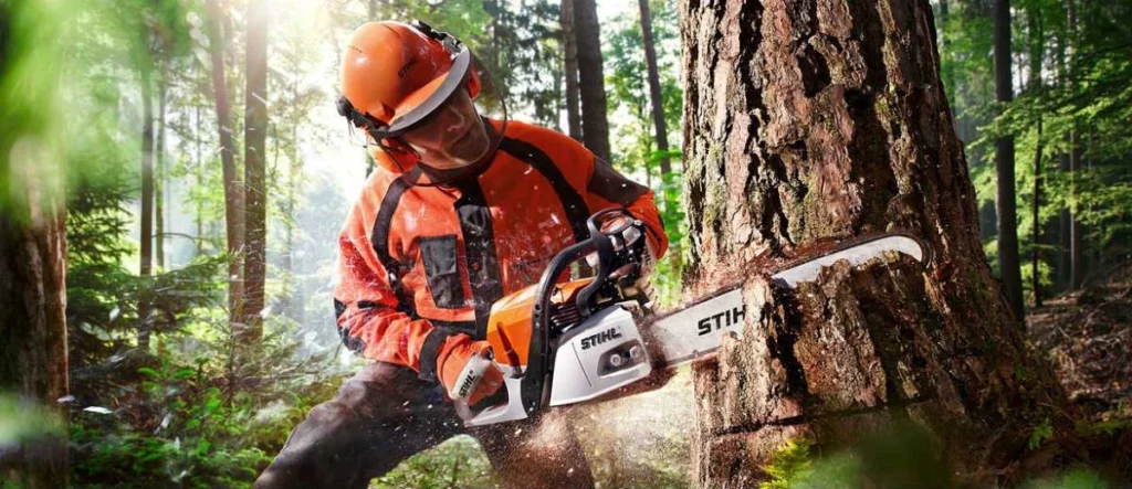 Stihl chainsaw safety gear