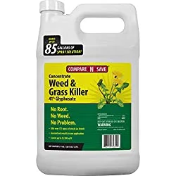 Compare-N-Save Concentrated weed killer with Glyphosate