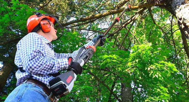 Best Cordless Pole Saws 2022 - Reviews & Buyers Guide