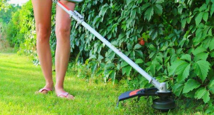 Weed Eater Won't Start - Top 10 Reasons and Guide