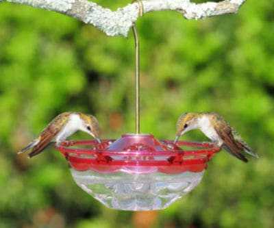 Aspects HummZinger Hanging Hummingbird Feeder
