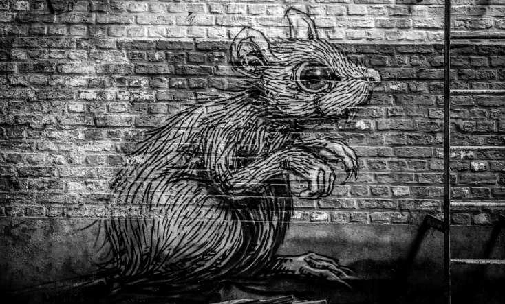 Rat History Plague and Death