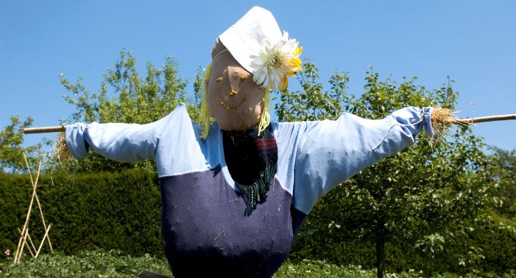 Homemade Scarecrow