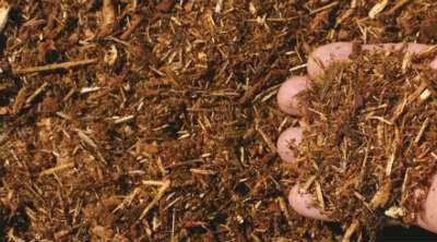 Mulching in Fall to Help the Soil