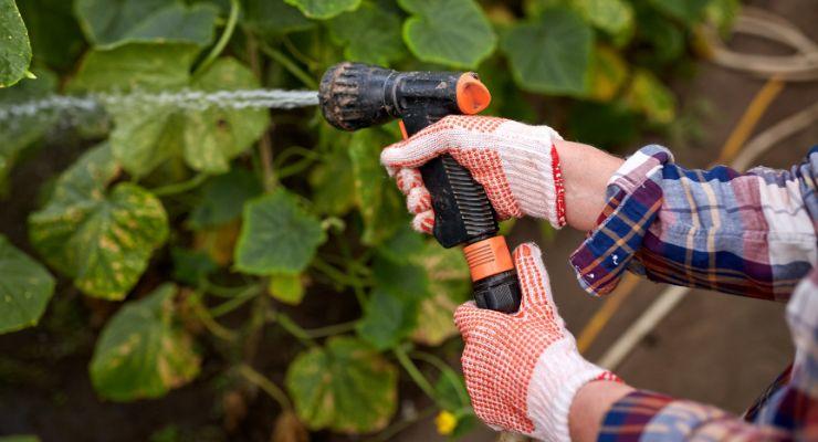 Best Expandable Garden Hose in use