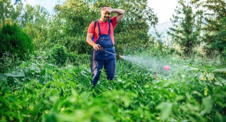 Using Herbicides to kill weeds