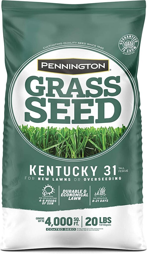 Pennington Kentucky 31 Tall Fescue Grass Seed